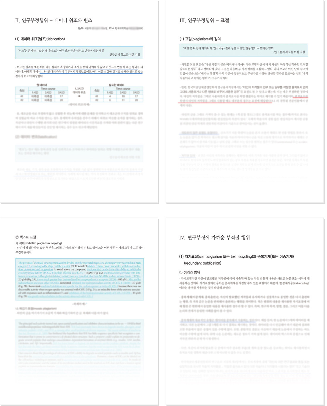 표절 등 연구윤리