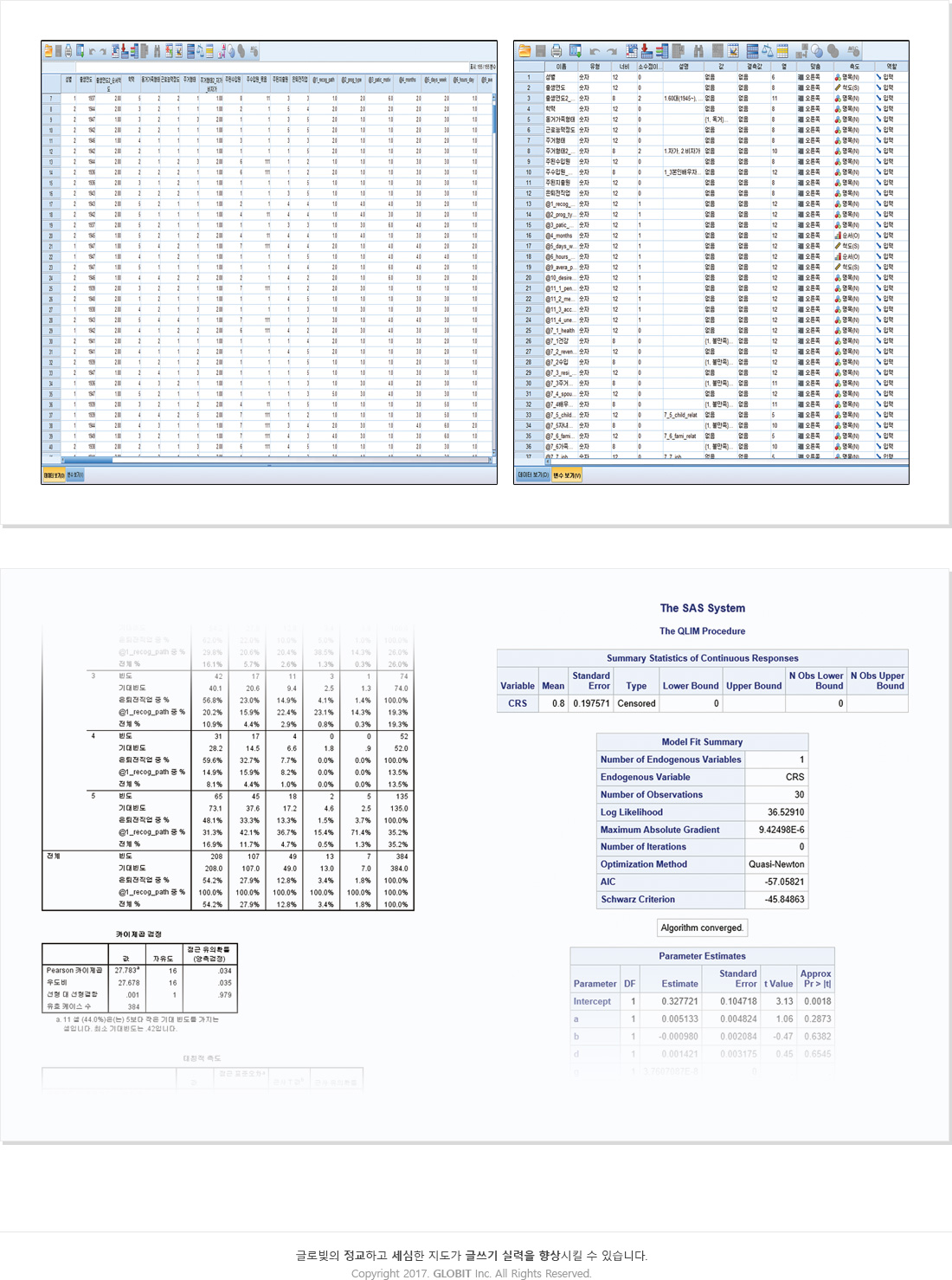 통계분석 (SPSS/SAS) 샘플