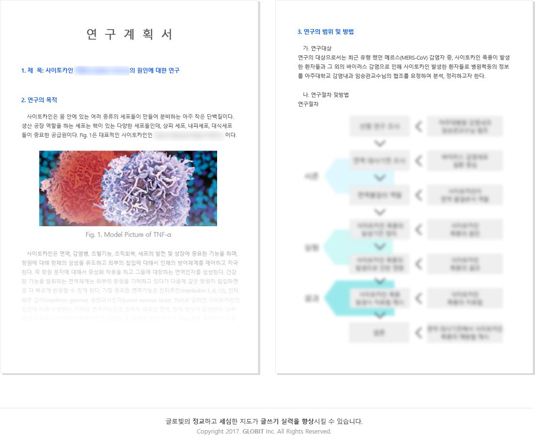 연구계획 샘플 3